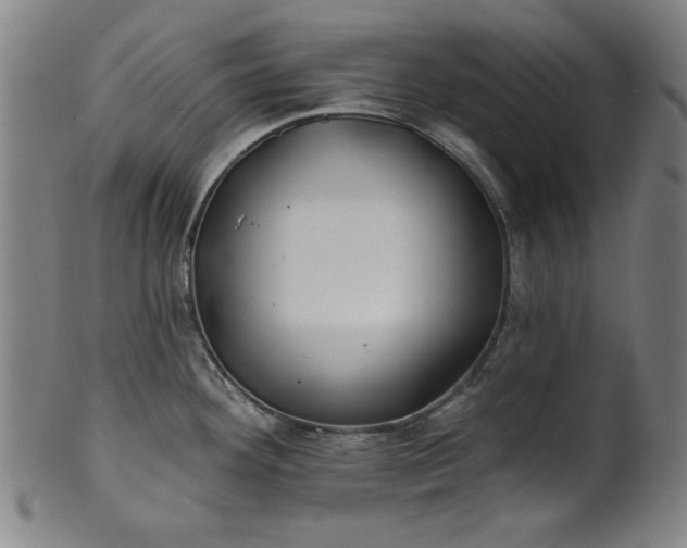 X0000101471292200807211328