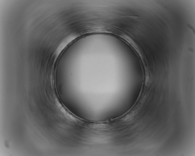 X0000101471293200807211328