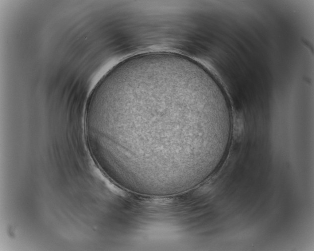 X0000101471294200807211328