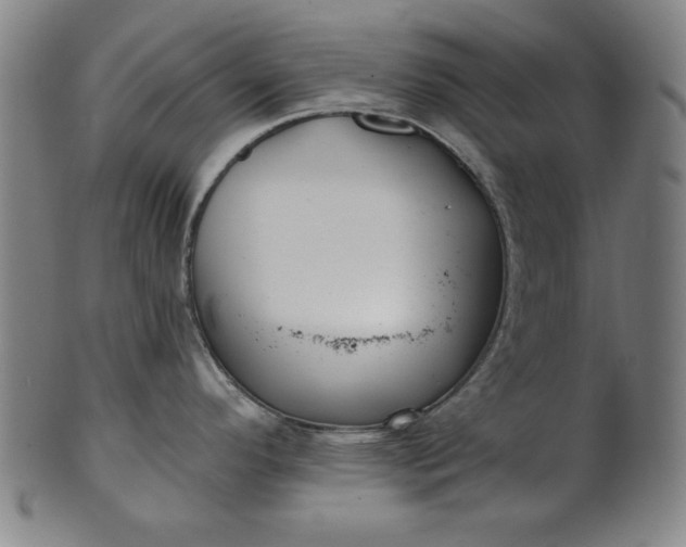 X0000101471296200807211328