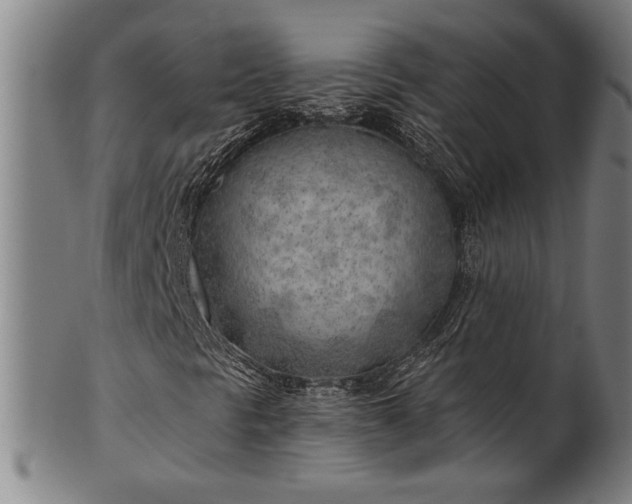 X0000101471297200807211328