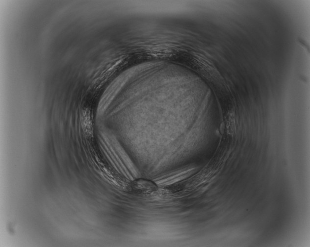 X0000101471298200807211328