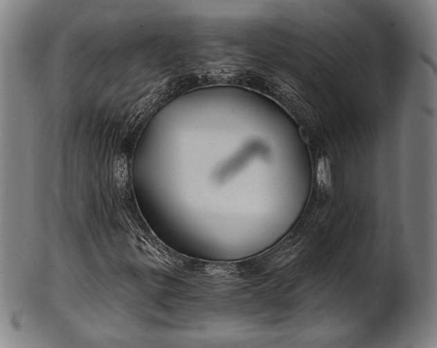 X0000101471299200807211328