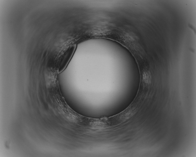 X0000101471300200807211328