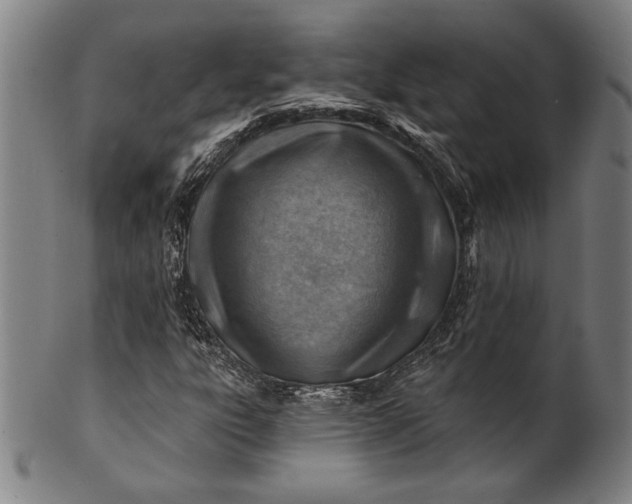 X0000101471303200807211328