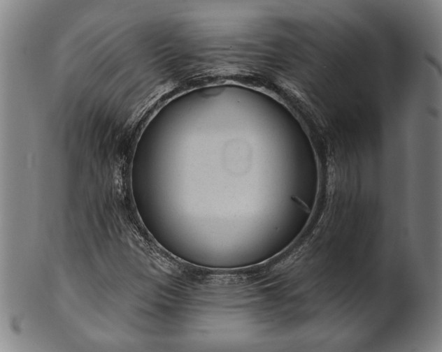 X0000101471305200807211328