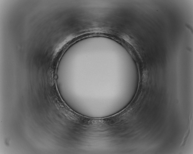 X0000101471310200807211328