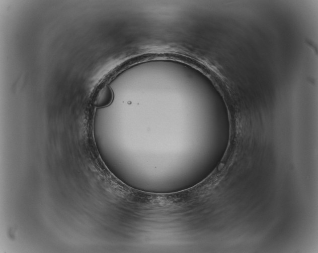 X0000101471311200807211328