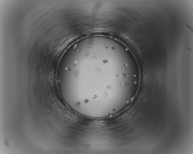 X0000101471313200807211328