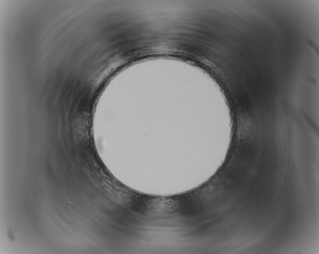 X0000101471314200807211328