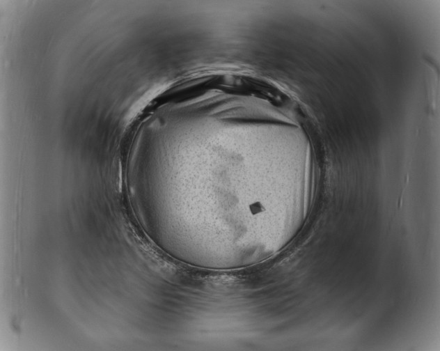 X0000101471317200807211328