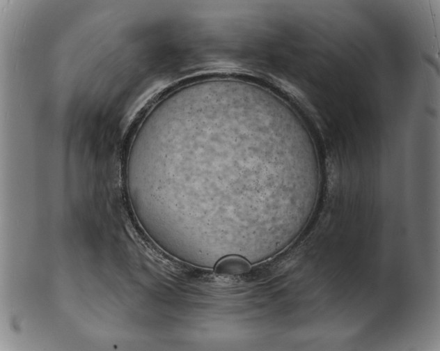 X0000101471318200807211328