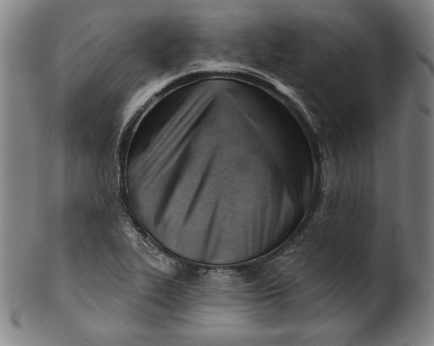 X0000101471319200807211328