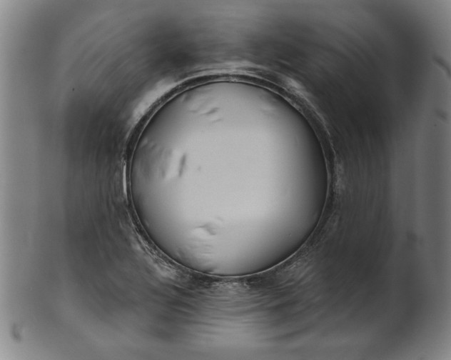 X0000101471320200807211328