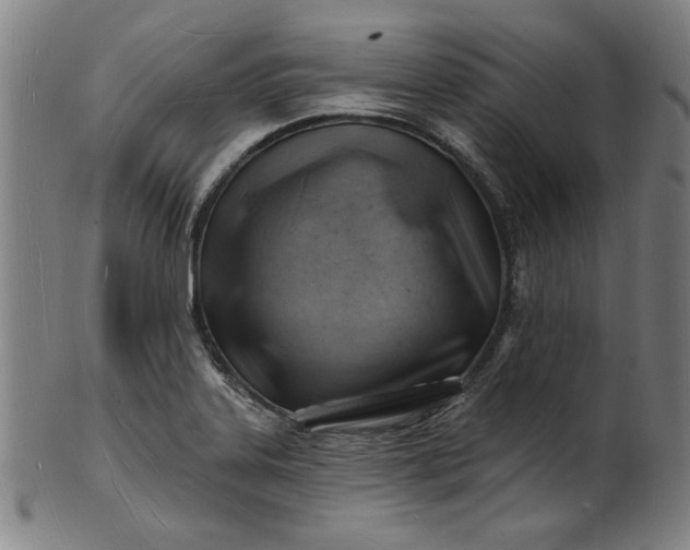 X0000101471323200807211328