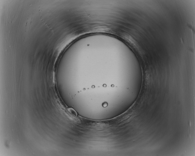 X0000101471324200807211328