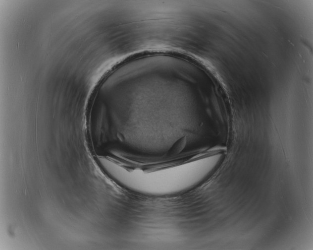 X0000101471327200807211328