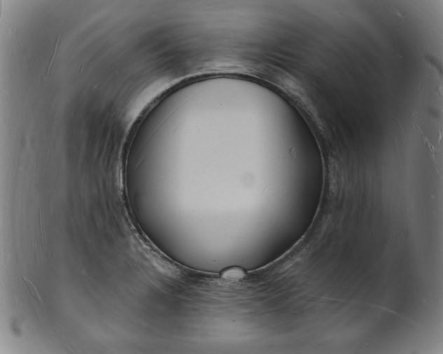 X0000101471328200807211328