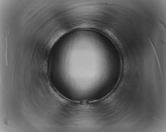 X0000101471329200807211328