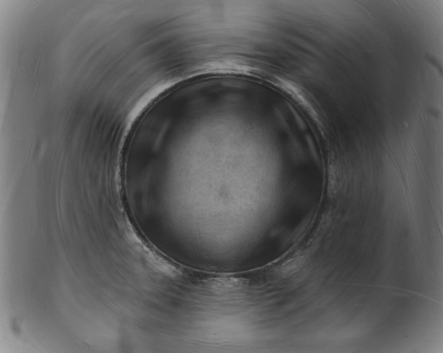 X0000101471331200807211328