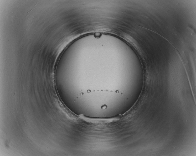 X0000101471332200807211328