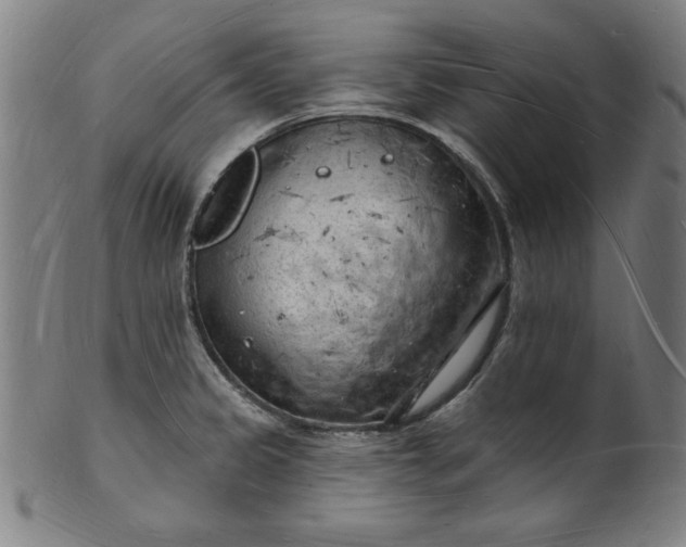 X0000101471333200807211328