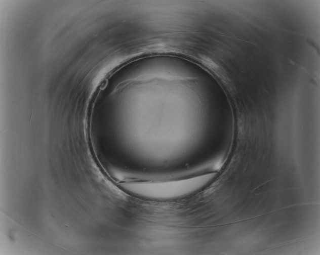 X0000101471334200807211328