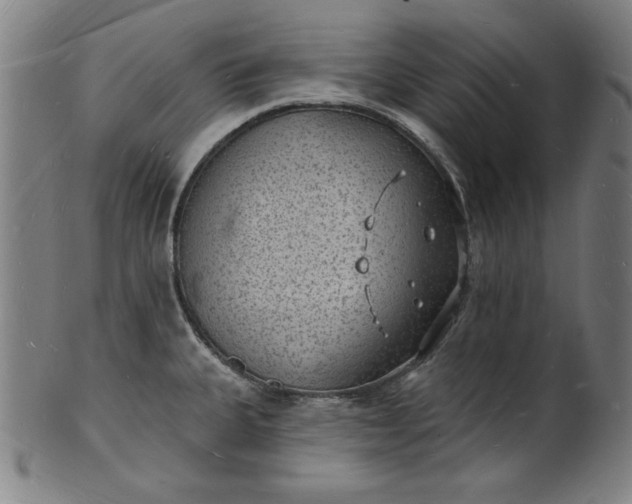 X0000101471335200807211328