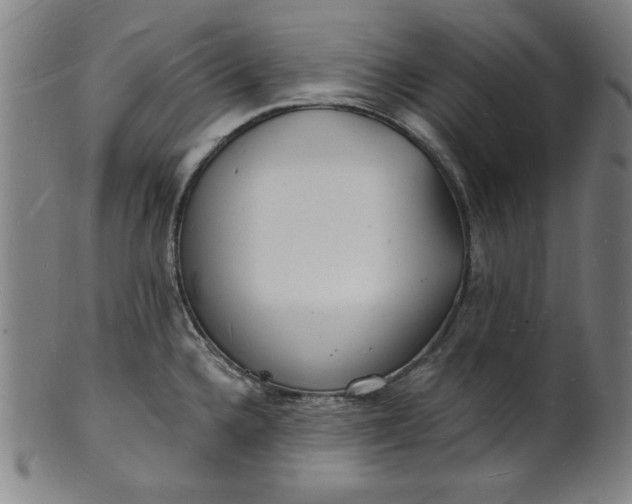 X0000101471336200807211328