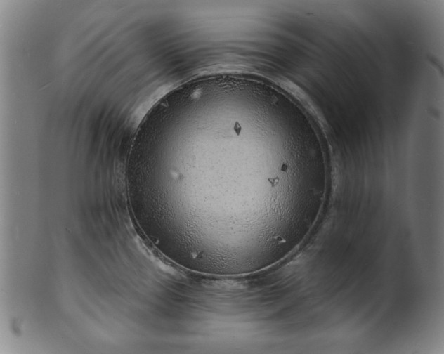 X0000101471337200807211328