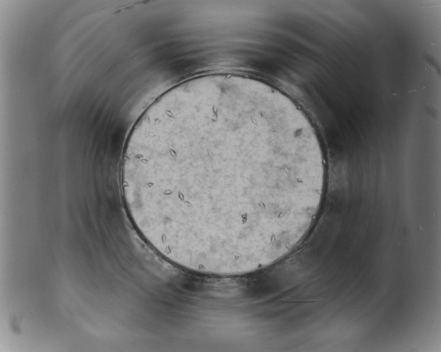 X0000101471338200807211328