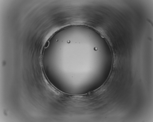 X0000101471342200807211328