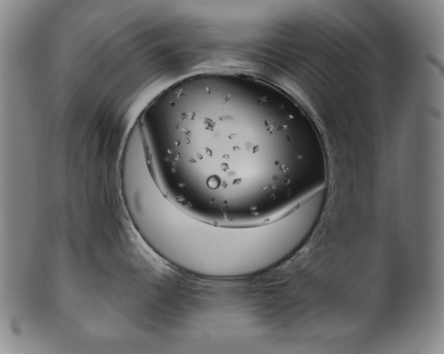 X0000101471344200807211328