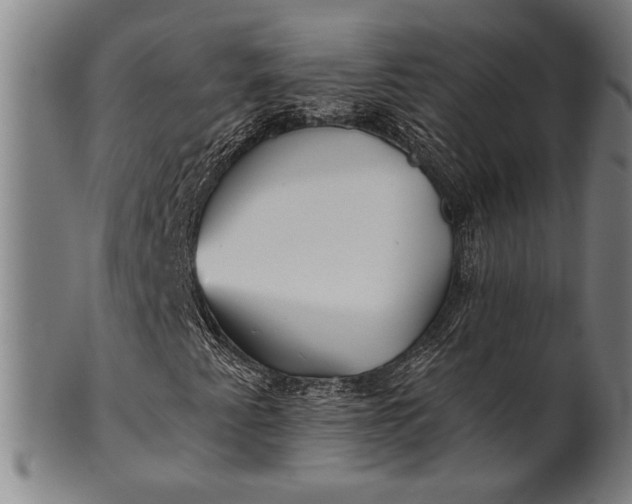 X0000101471345200807211328