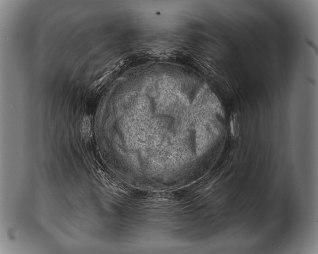 X0000101471347200807211328