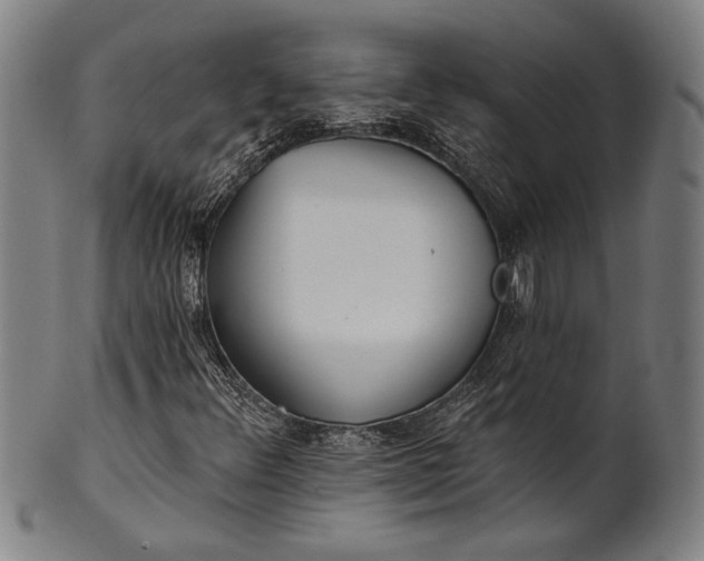 X0000101471348200807211327