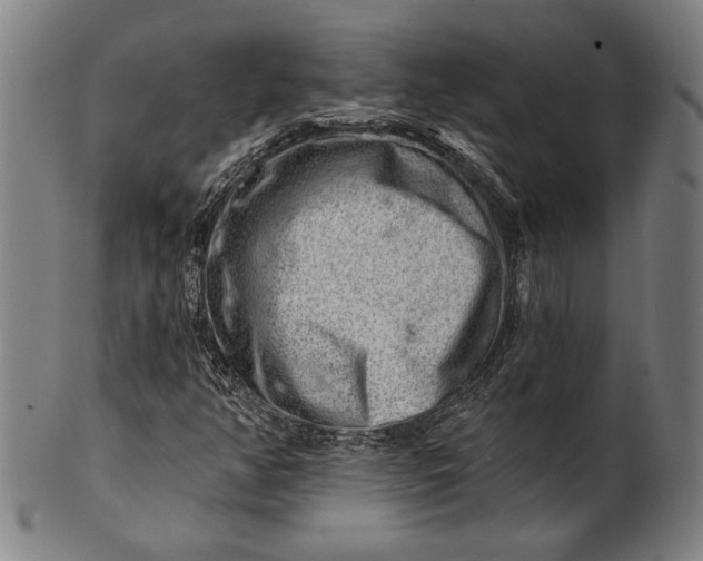 X0000101471350200807211327