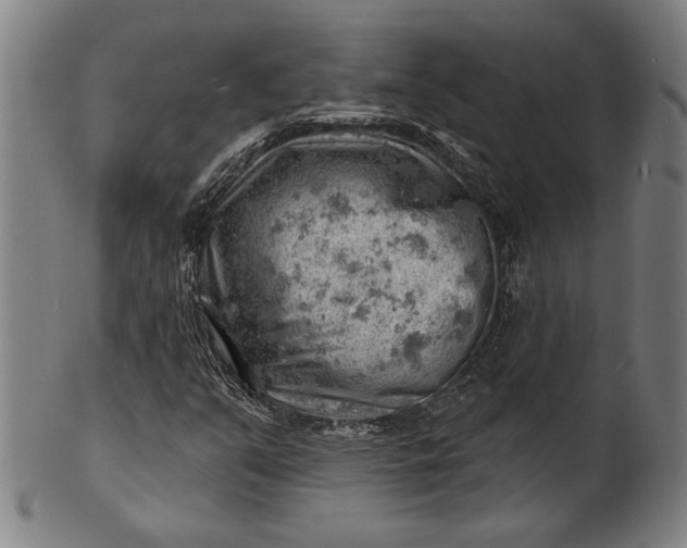 X0000101471351200807211327