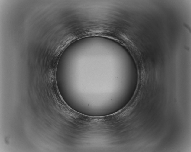 X0000101471353200807211327