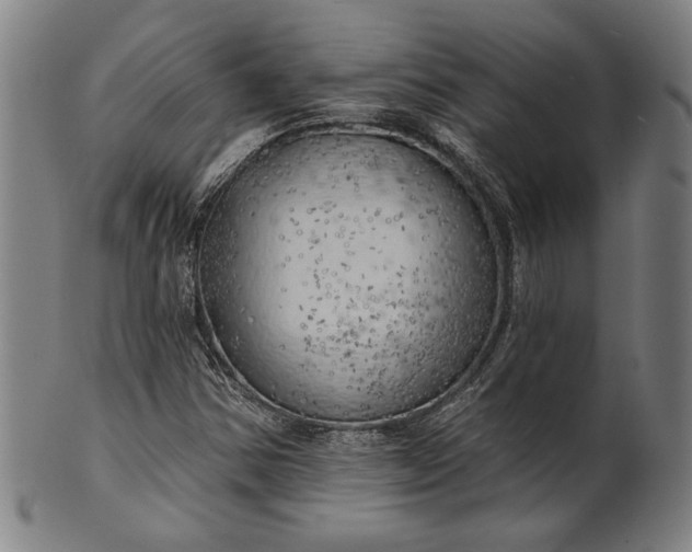 X0000101471354200807211327