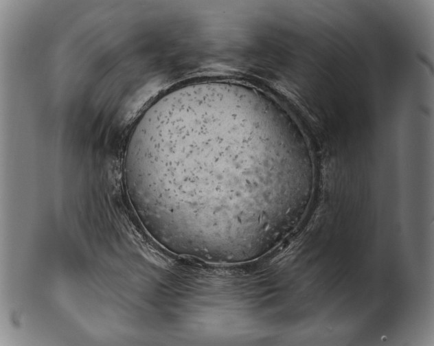 X0000101471355200807211327