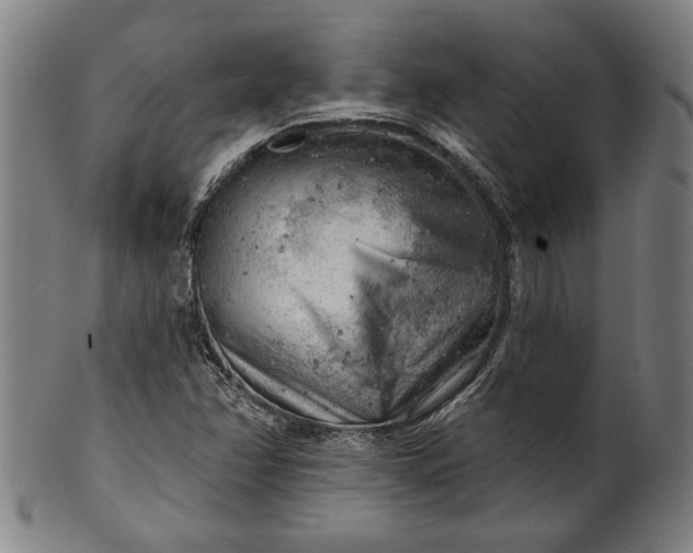 X0000101471358200807211327