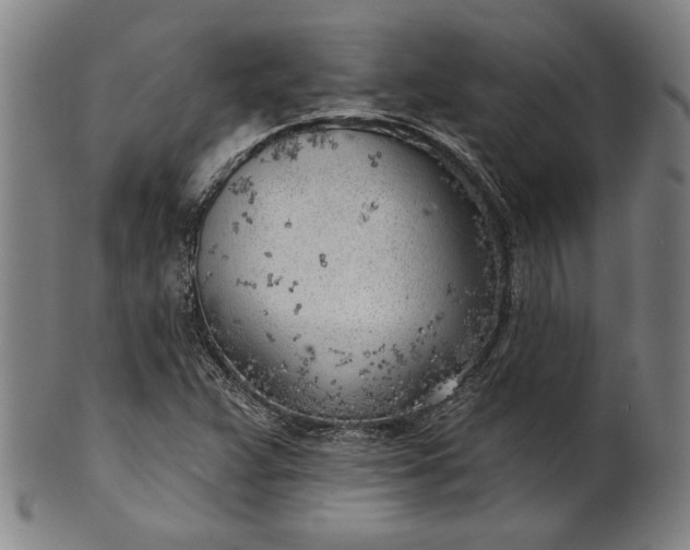 X0000101471359200807211327