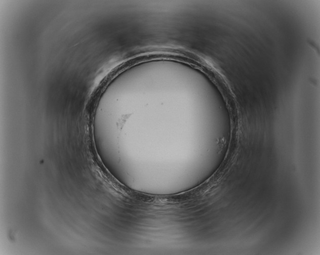 X0000101471360200807211327