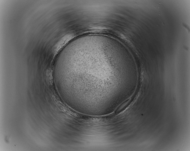 X0000101471362200807211327