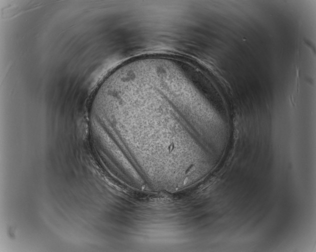 X0000101471363200807211327