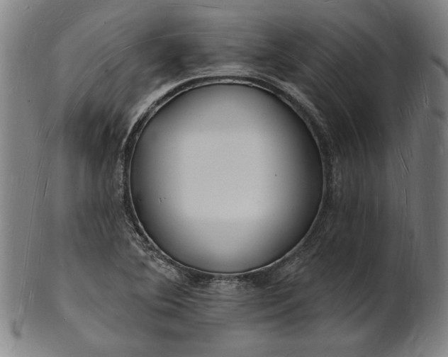 X0000101471364200807211327