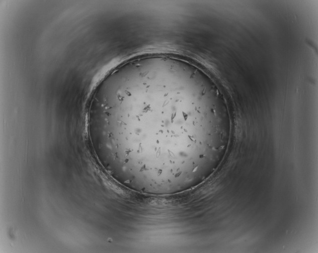 X0000101471366200807211327