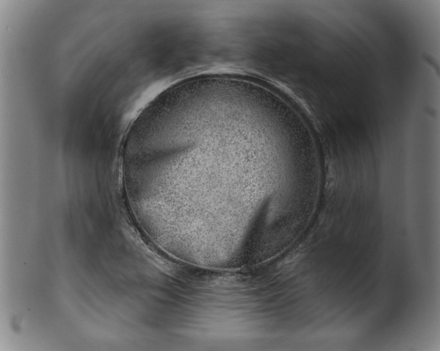 X0000101471367200807211327