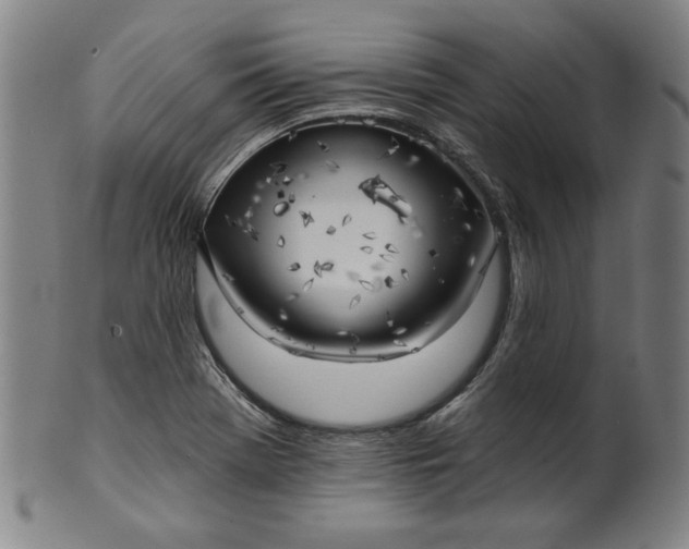 X0000101471369200807211327